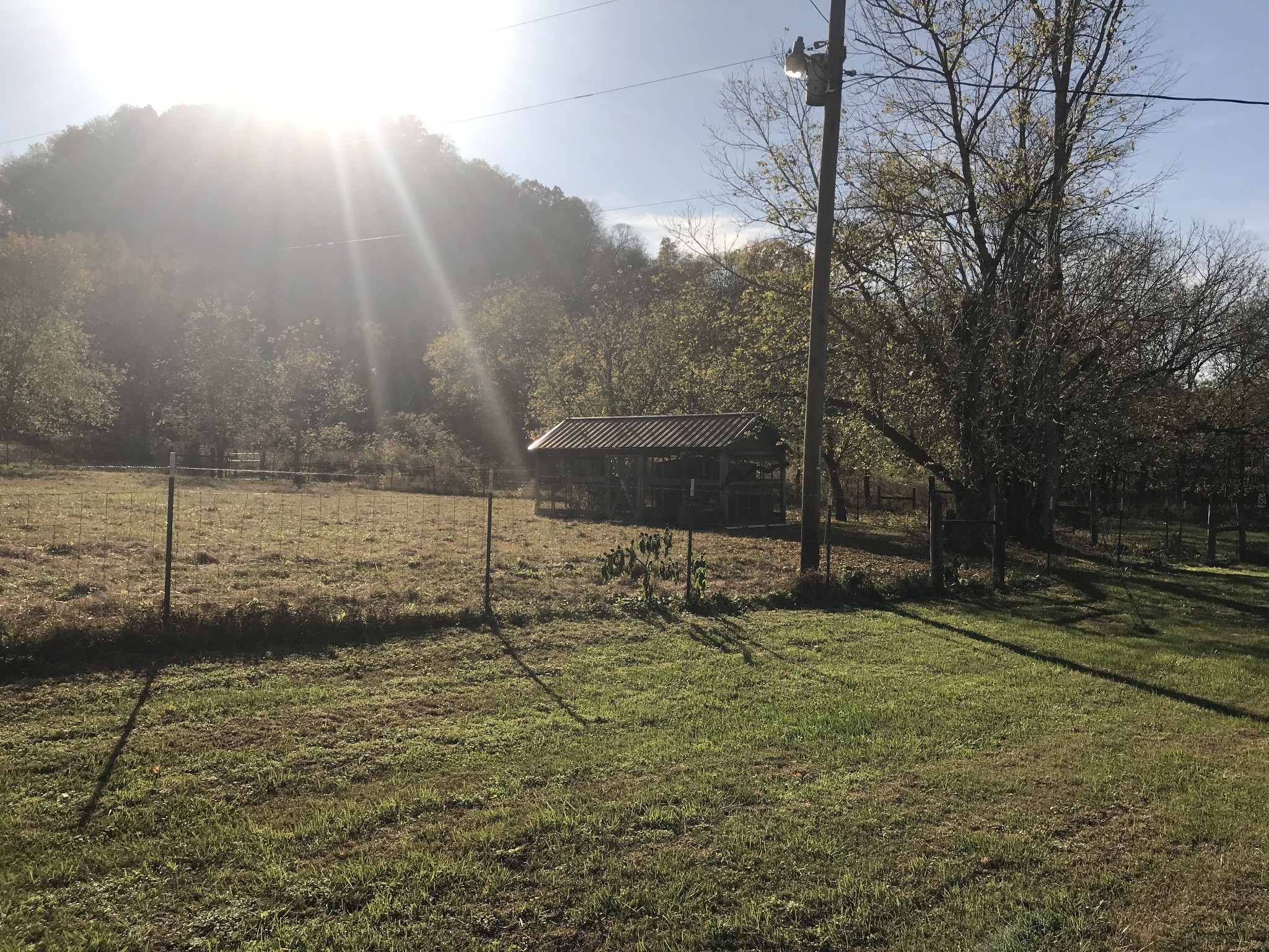 334 Little Salt Lick Road Carthage, TN 37030 - Photo 6 of 25