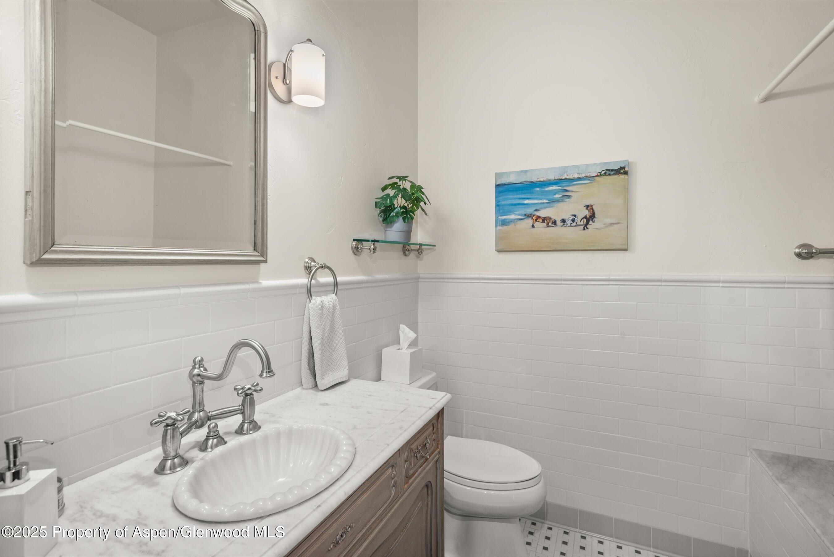16 St Finnbar Farm Road Carbondale, CO 81623 - Photo 33 of 51 a bathroom with a sink mirror and toilet