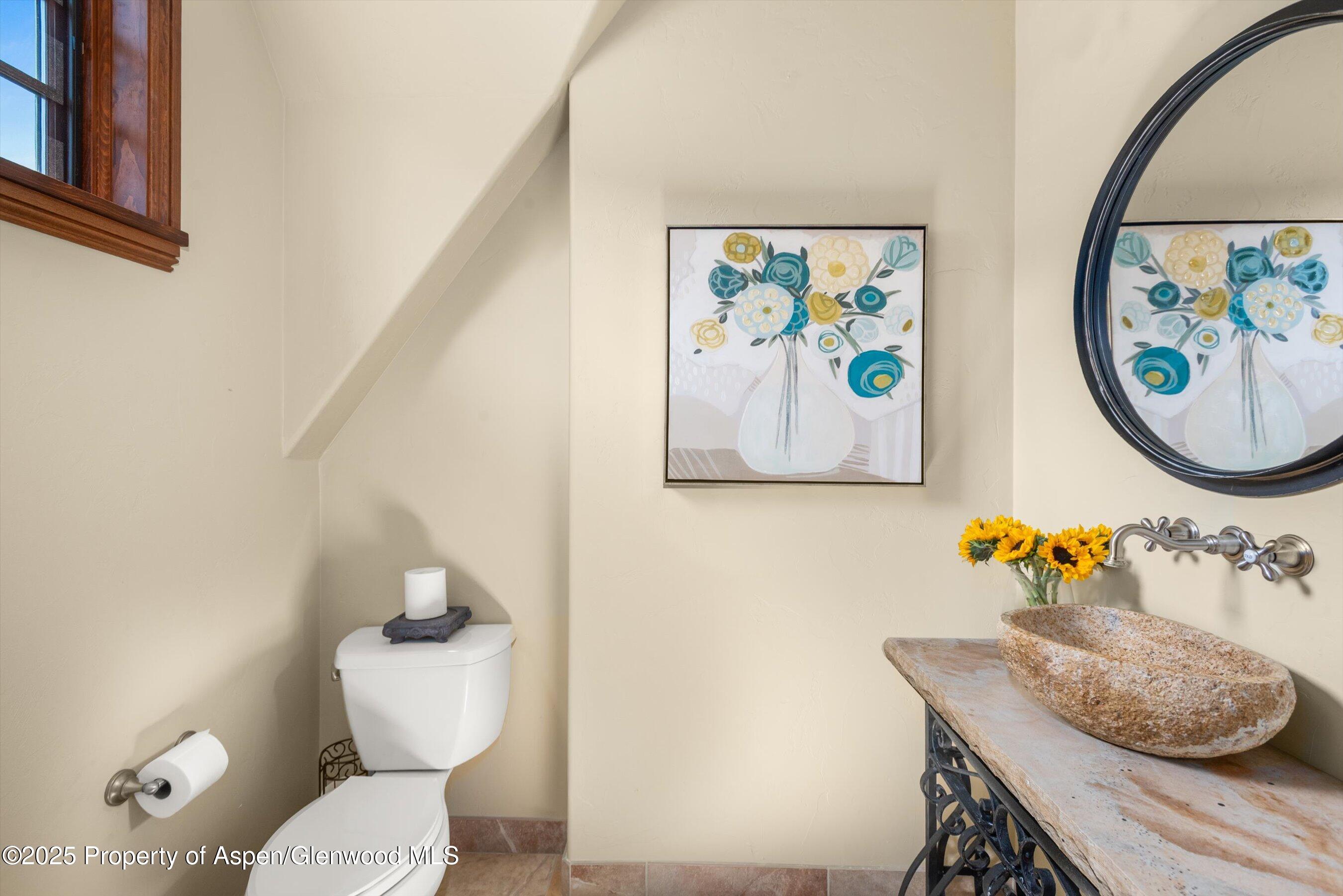 16 St Finnbar Farm Road Carbondale, CO 81623 - Photo 34 of 51 a bathroom with a toilet a sink and a mirror