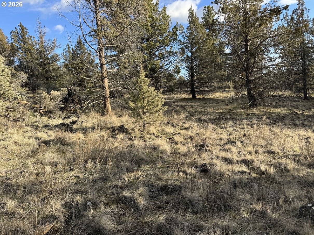 Canvasback Drive, Unit 36 Bonanza, OR 97623 - Photo 7 of 47