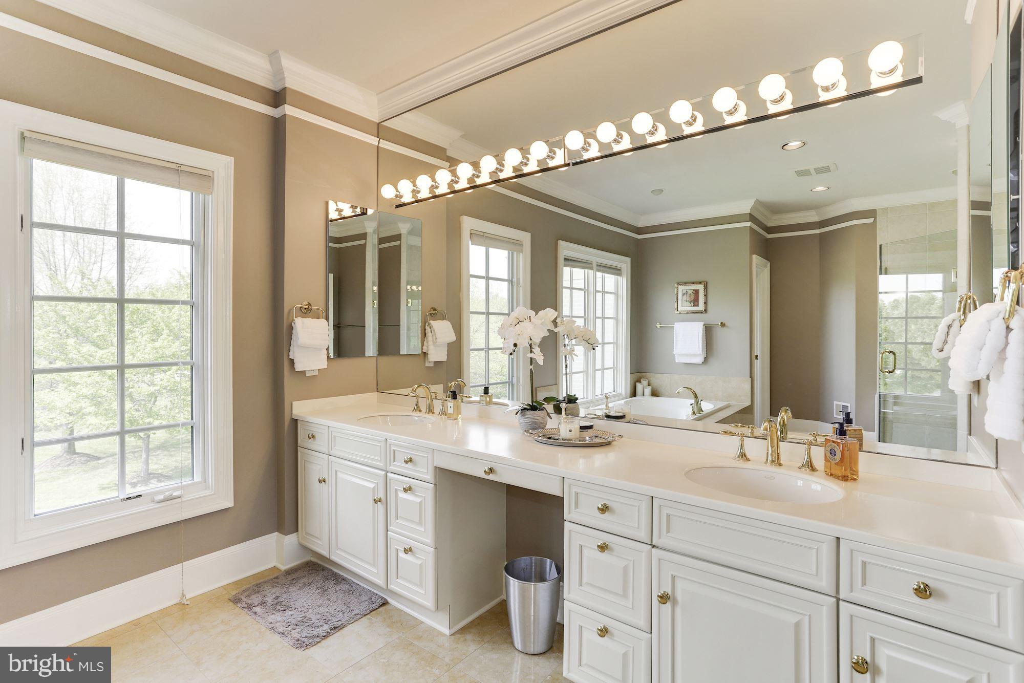 10725 Ardnave Place Potomac, MD 20854 - Photo 17 of 30 Bath (Master) Vanity Detail