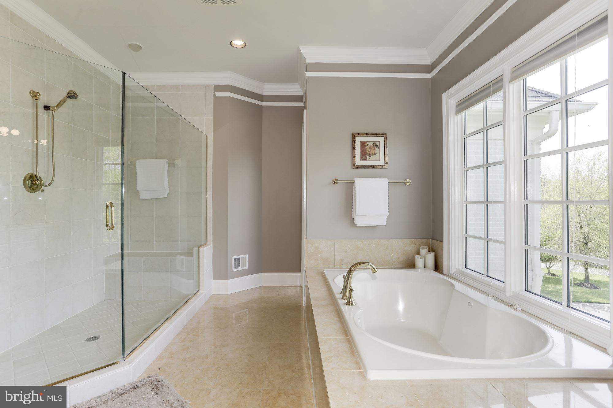 10725 Ardnave Place Potomac, MD 20854 - Photo 18 of 30 Bath (Master)