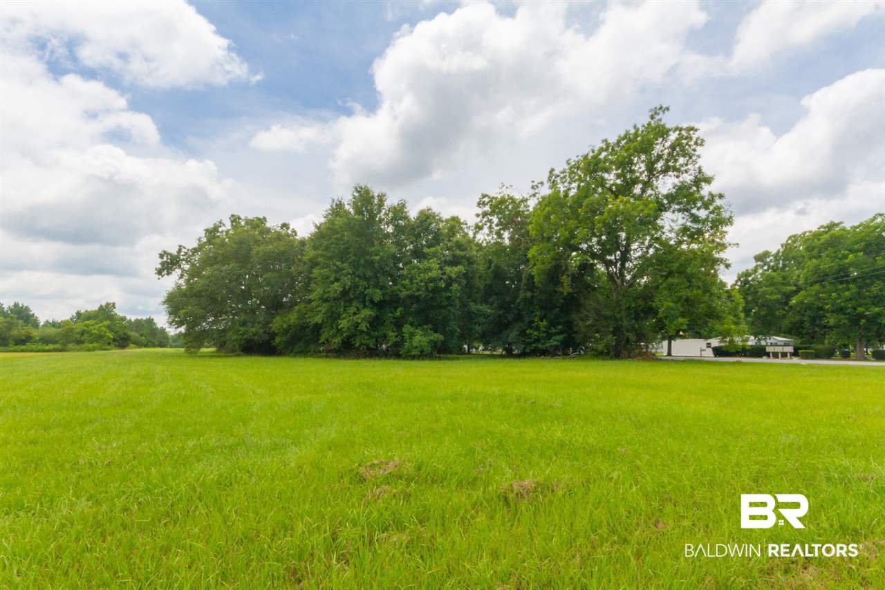 0 US Highway 98 Elberta, AL 36530 - Photo 10 of 13