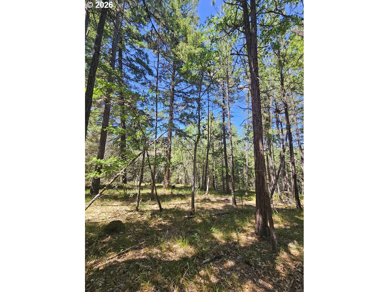 Lovers Lane Lyle, WA 98635 - Photo 10 of 25