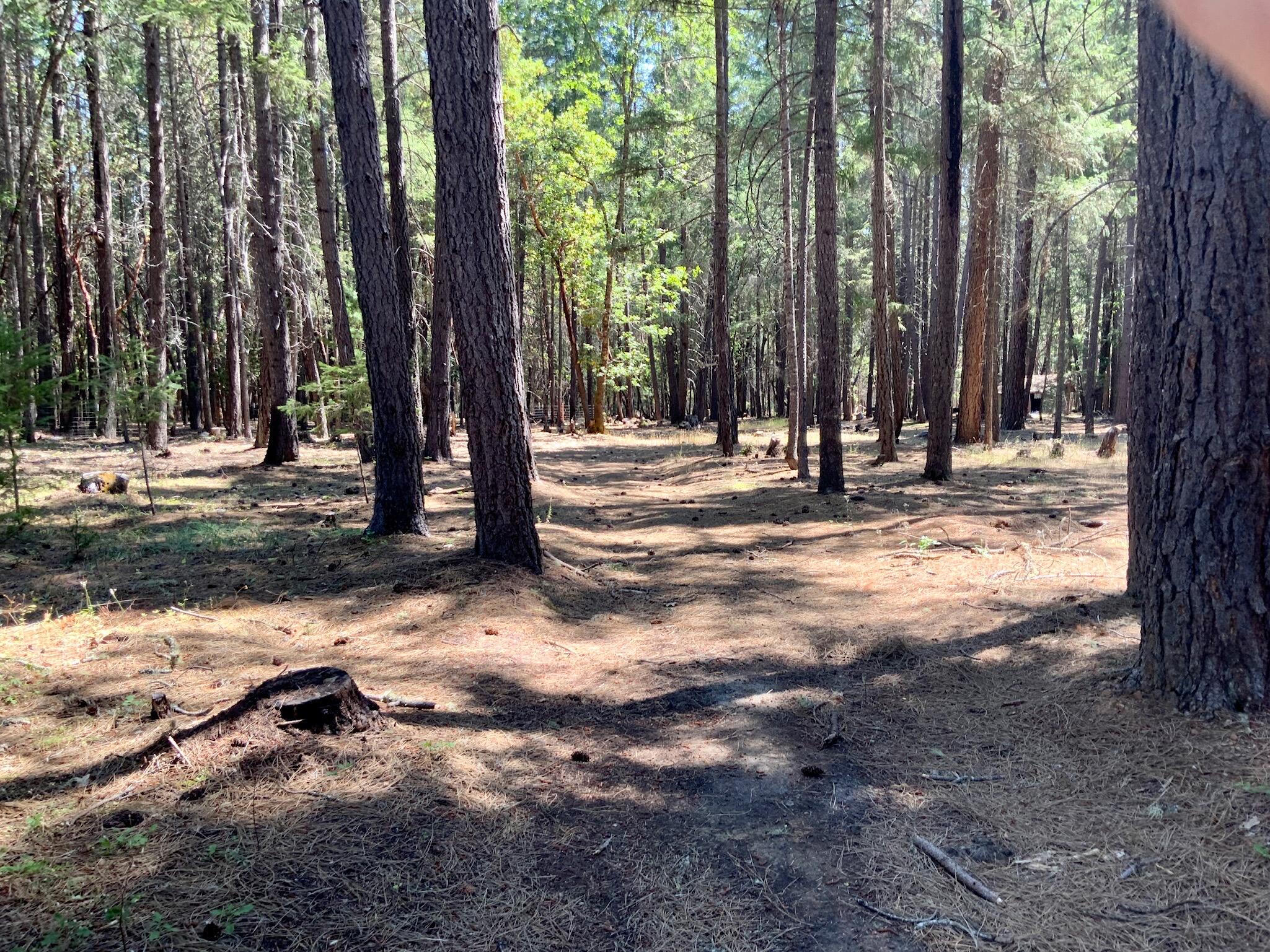 15981 Water Gap Road Williams, OR 97544 - Photo 26 of 36 BD97F2B8-A6F3-4CFB-ACED-1F44CE304194