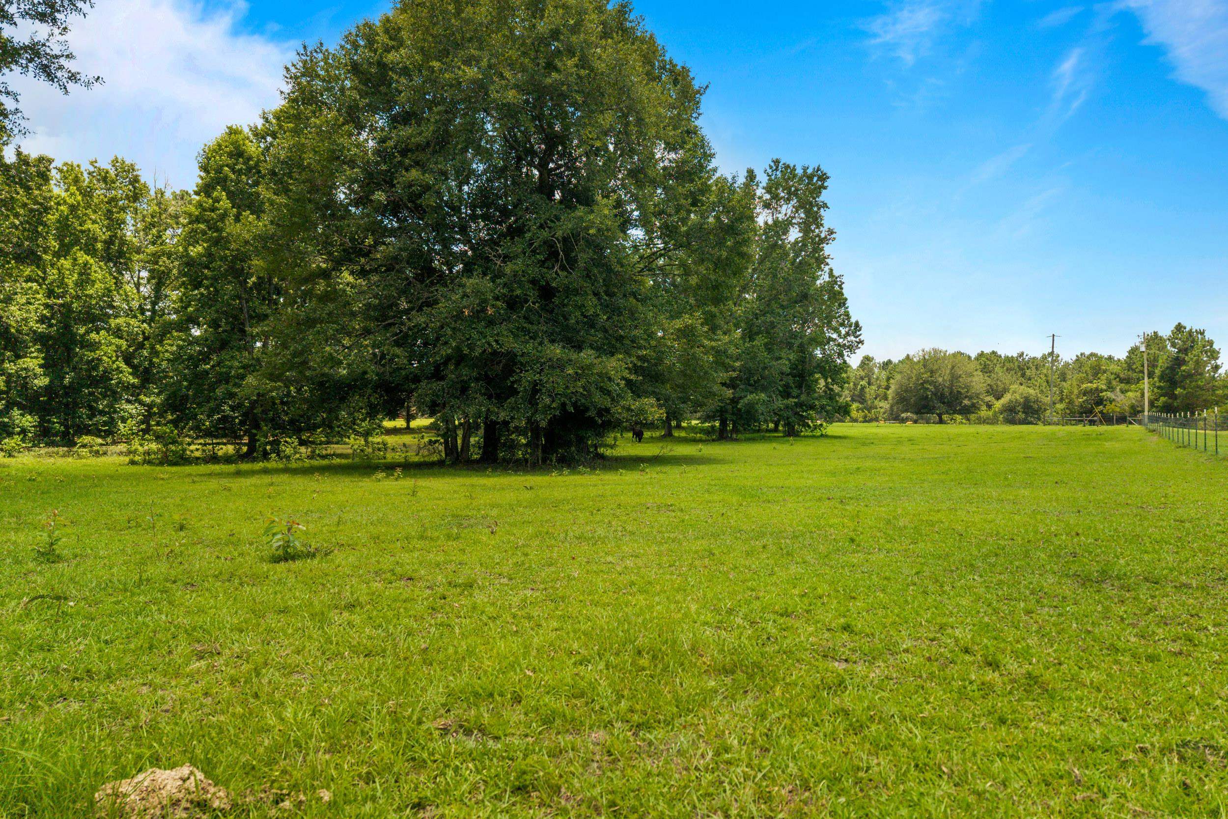 546 Backloop Road Havana, FL 32333 - Photo 45 of 67