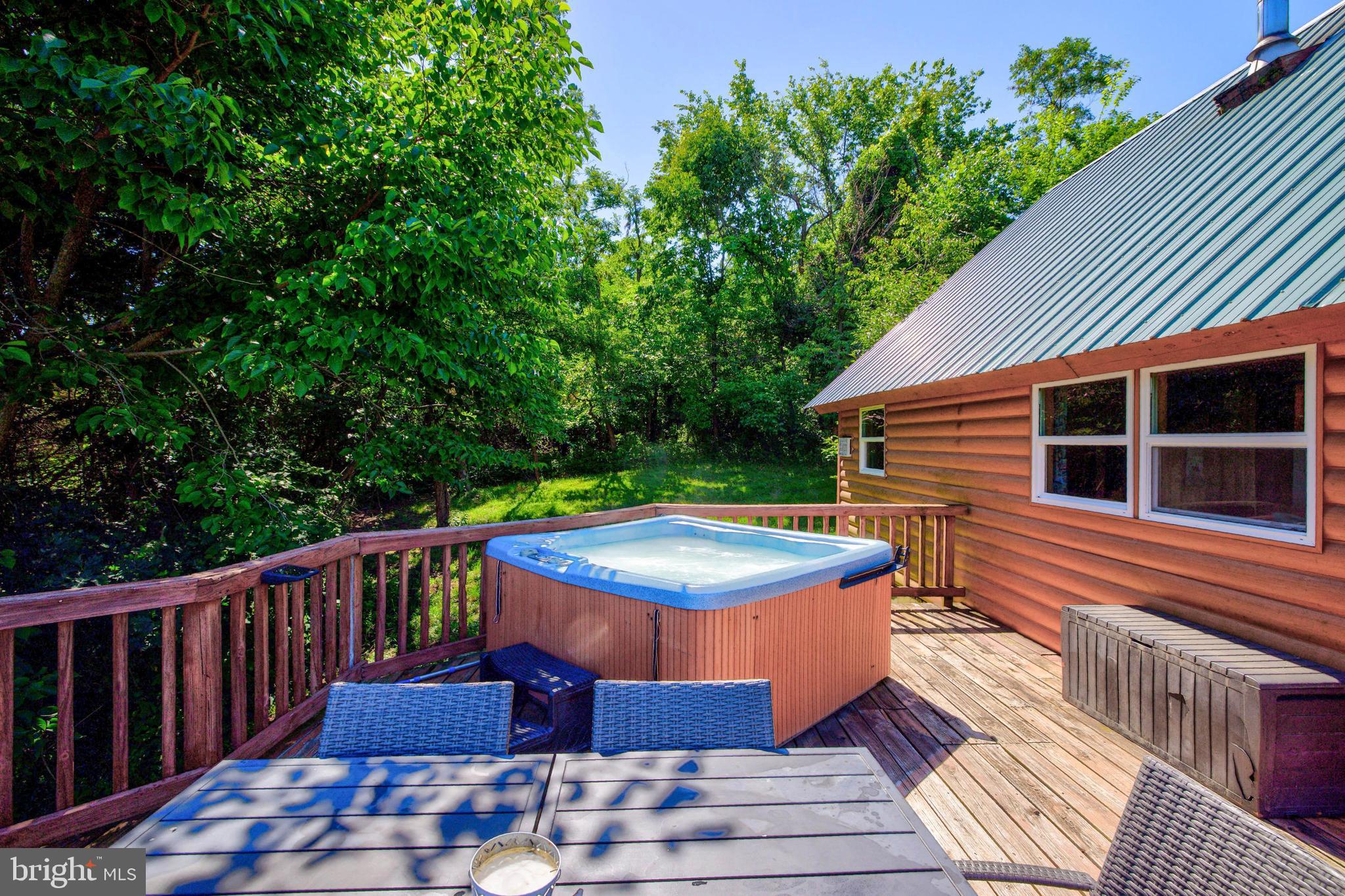 707 Overlook Drive Rileyville, VA 22650 - Photo 67 of 94