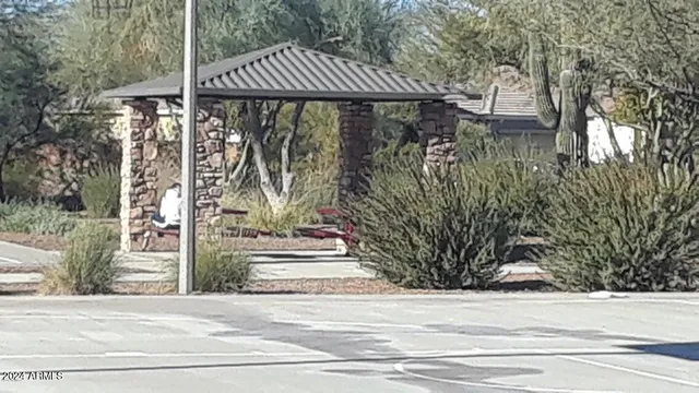 a view of a park with large trees