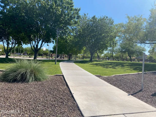 a view of a park with large trees