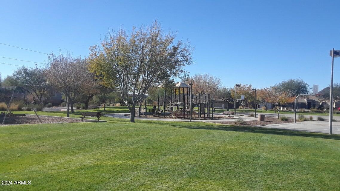 2812 East Questa Drive Phoenix, AZ 85024 - Photo 32 of 32 a view of a park with large trees