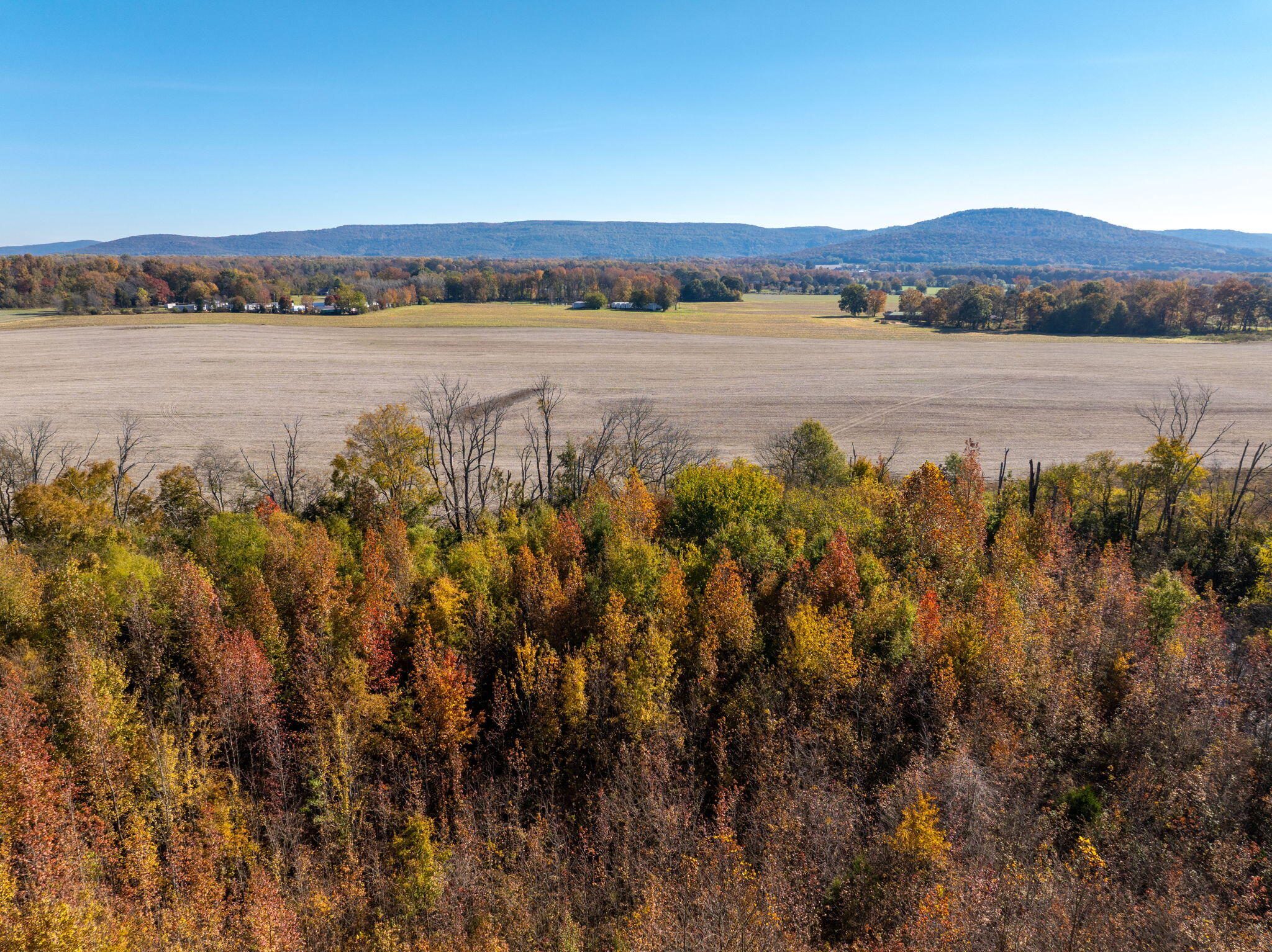 0 Old Airport Road, Unit LOT 9 Hillsboro, TN 37342 - Photo 6 of 25 15-web-or-mls-DJI_20251102125506_0993_D-