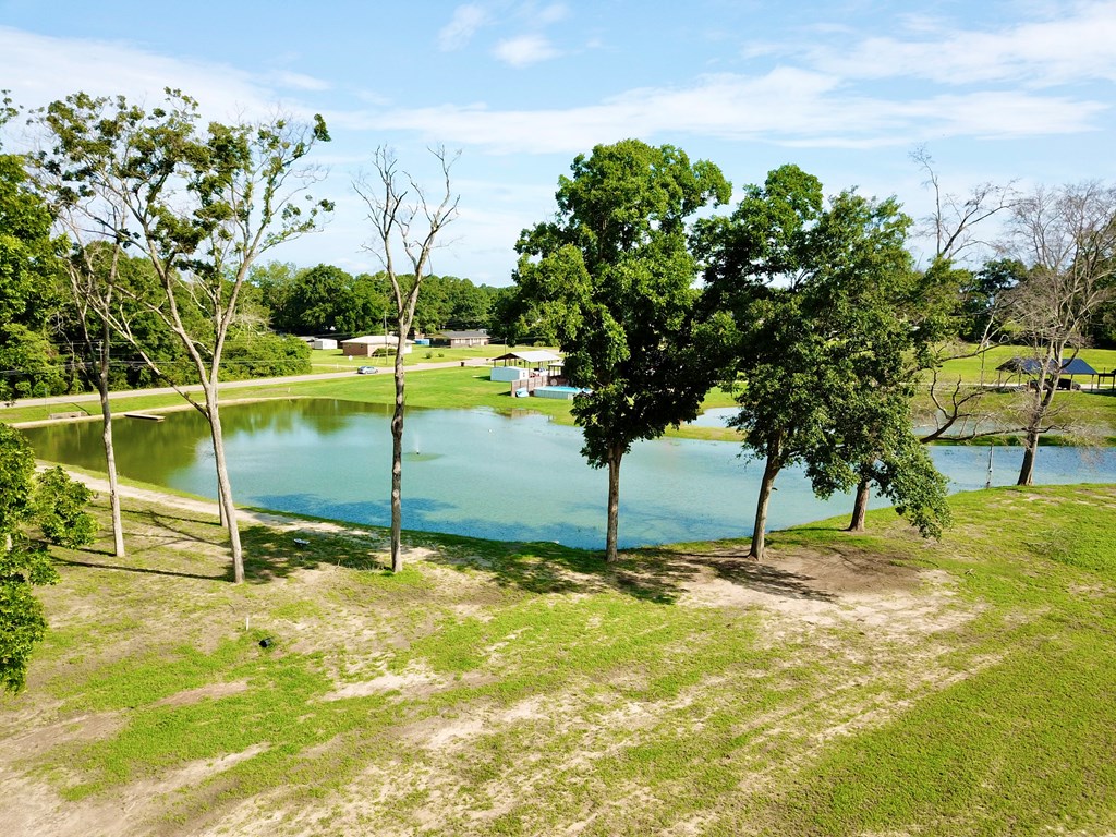103 Slocomb Al Slocomb, AL 36375 - Photo 41 of 63