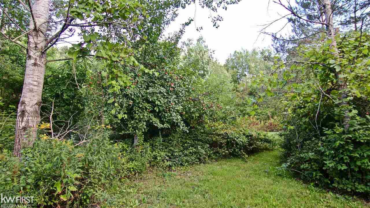 9150 Elms Road Clio, MI 48420 - Photo 5 of 20