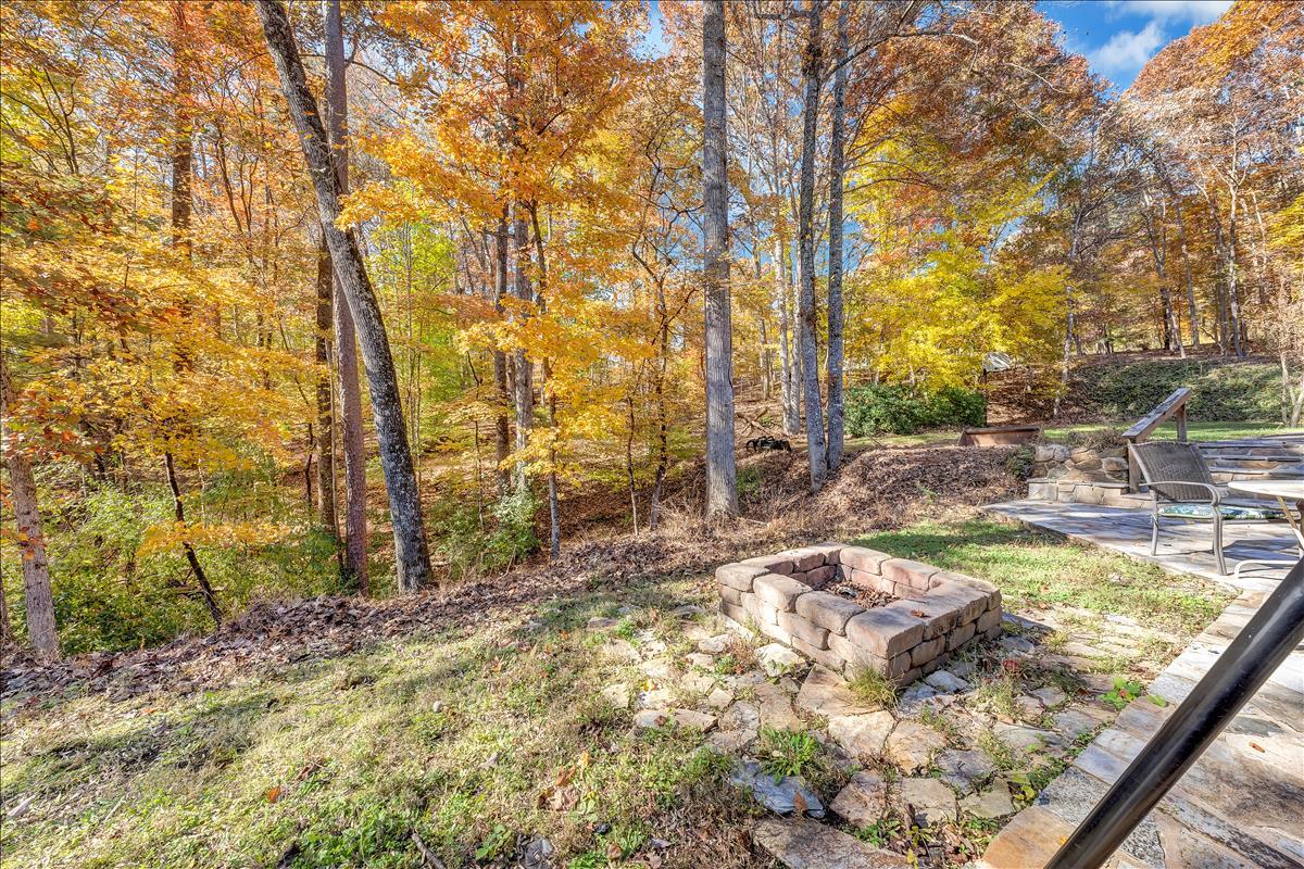 1456 Lynville Ford Road Goodview, VA 24095 - Photo 29 of 45 a view of a yard with trees