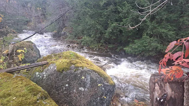 $60,000 | 536 Mill Road, Stamford, VT 05352