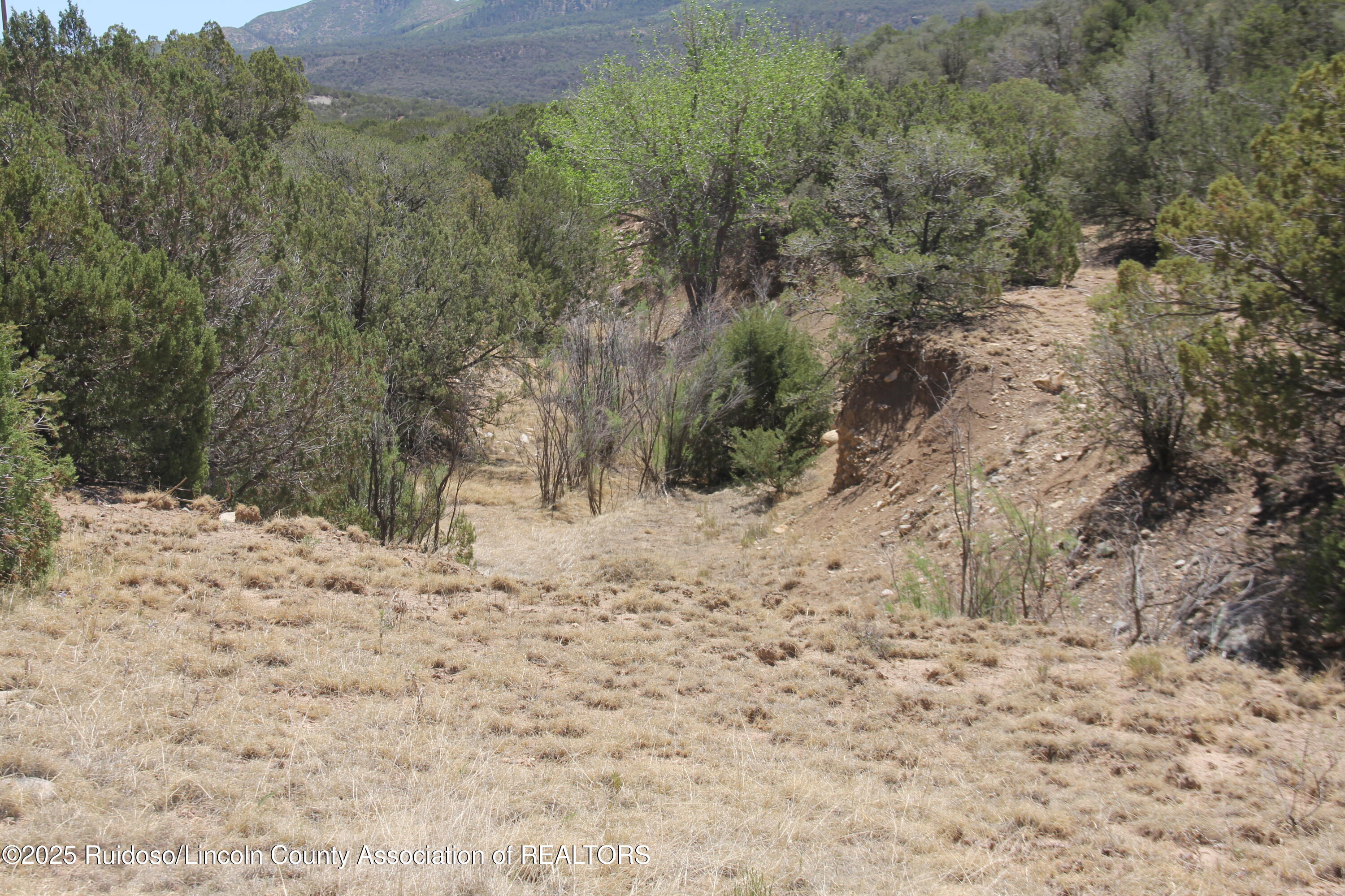 Tbd Jicarilla Road Carrizozo, NM 88301 - Photo 9 of 53 Gallery Image 9