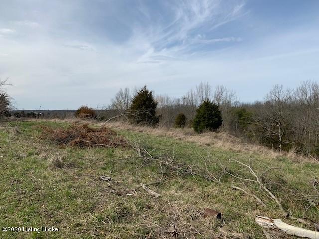 3100 Greens Chapel Road Bloomfield, KY 40008 - Photo 8 of 15 photo 18