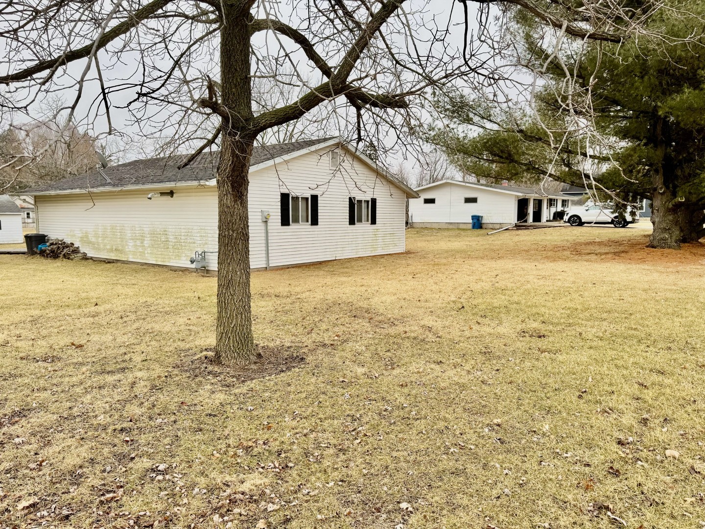 106 South Steele Street Cherry, IL 61317 - Photo 2 of 21