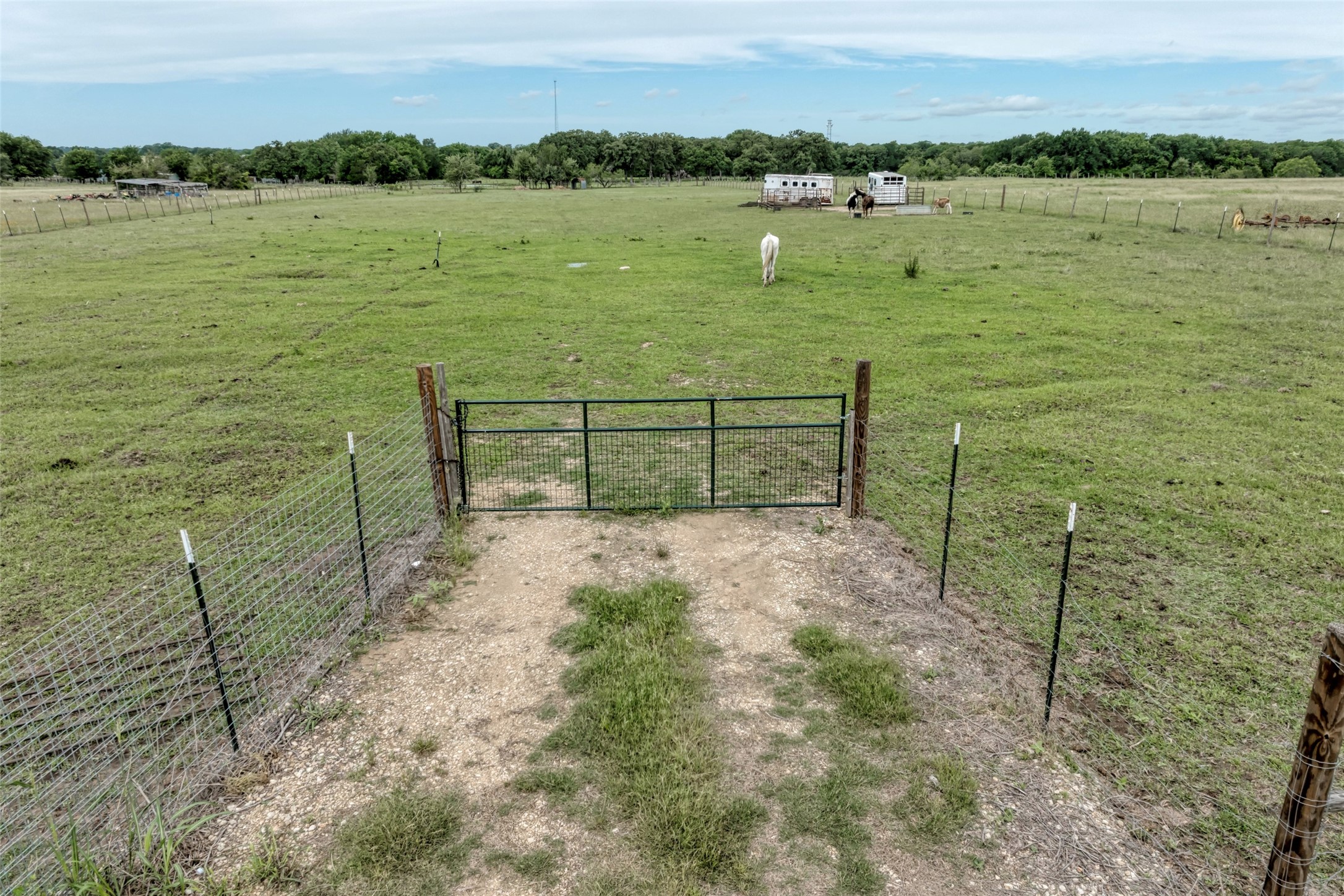 921 9th Street Lexington, TX 78947 - Photo 4 of 18
