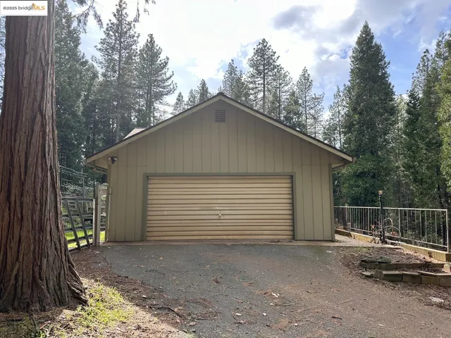 a view of backyard and trees