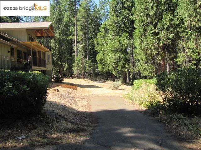 a view of back yard of the house