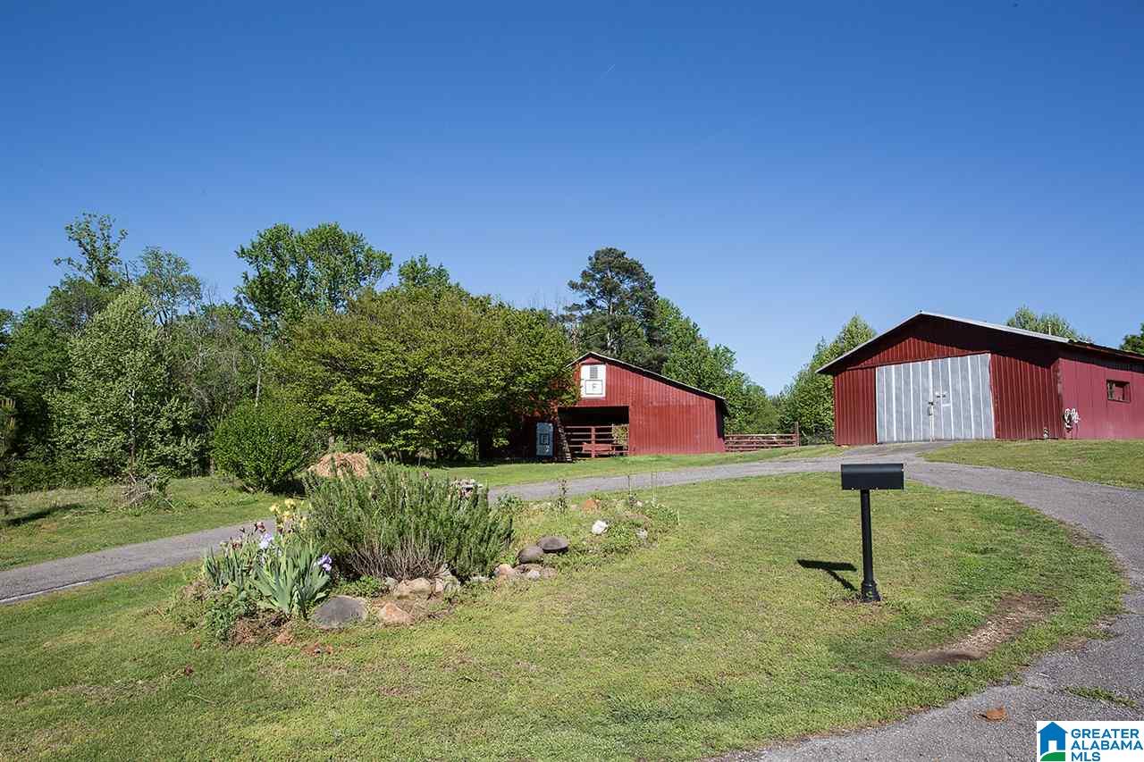 2058 Highway 36 Oneonta Al Oneonta, AL 35121 - Photo 4 of 23