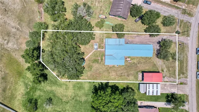 a picture of flowers