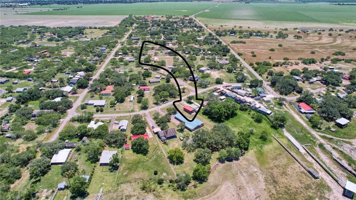 9047 County Road 461 Mathis, TX 78368 - Photo 37 of 38 a picture of flowers