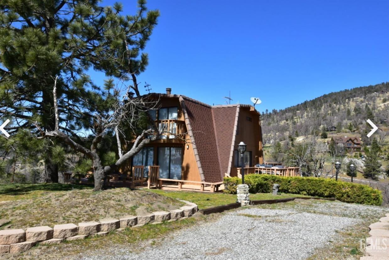 a view of a park with large trees
