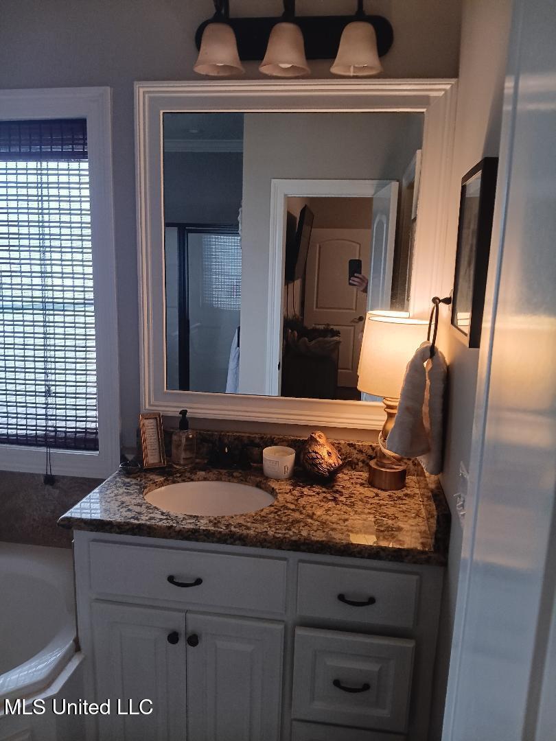 312 Alicetowne Landing Brandon, MS 39047 - Photo 23 of 48 Master Bath 1