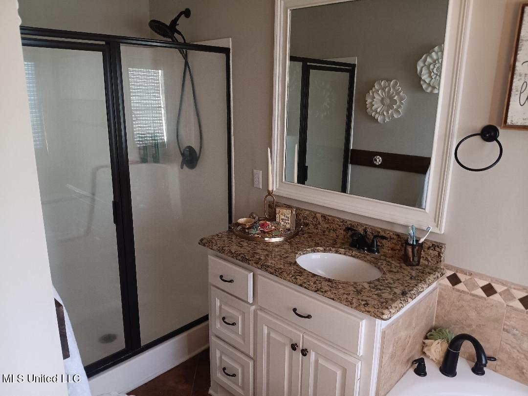 312 Alicetowne Landing Brandon, MS 39047 - Photo 25 of 48 Master Bath 3