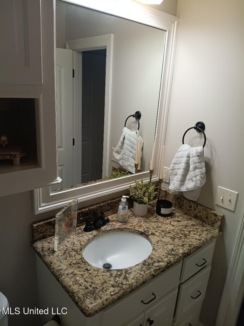 312 Alicetowne Landing Brandon, MS 39047 - Photo 26 of 48 Master Bath 4