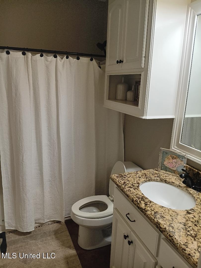 312 Alicetowne Landing Brandon, MS 39047 - Photo 32 of 48 2nd Bathroom 1