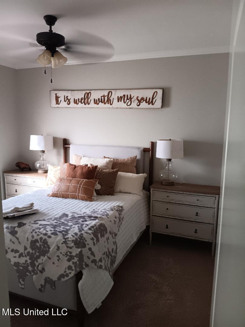 312 Alicetowne Landing Brandon, MS 39047 - Photo 34 of 48 3rd Bedroom 3