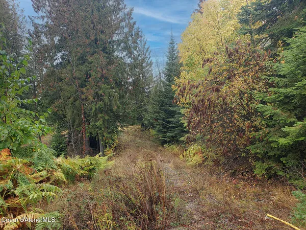 $139,000 | Nka White Cloud Drive, Sandpoint, ID 83864