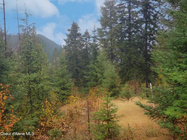 $139,000 | Nka White Cloud Drive, Sandpoint, ID 83864
