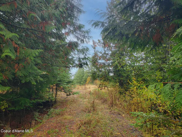 $159,000 | Nka White Cloud Drive, Sandpoint, ID 83864