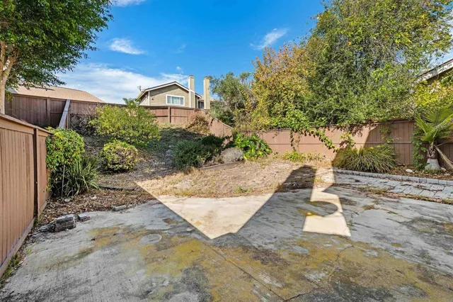 a view of a dry yard with large trees