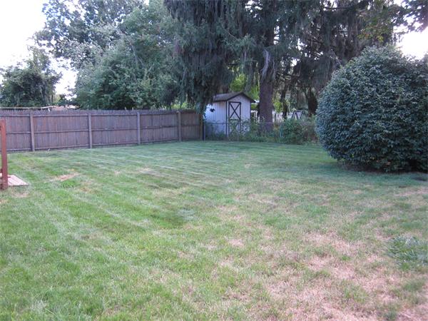 34 Redden Road Springfield, MA 01119 - Photo 17 of 20 a backyard of a house with lots of green space