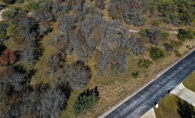 a view of a forest from a balcony