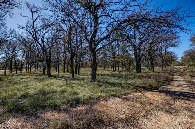 a view of outdoor space with trees