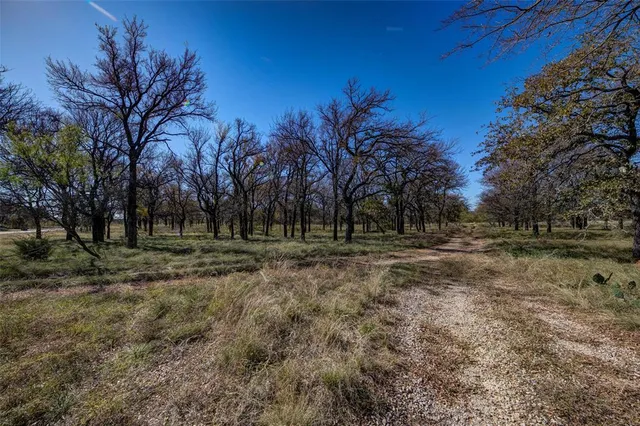 $60,000 | Lot 195 Grand Harbor Boulevard, Chico, TX 76431