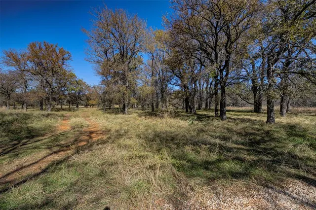 a view of dirt field with trees