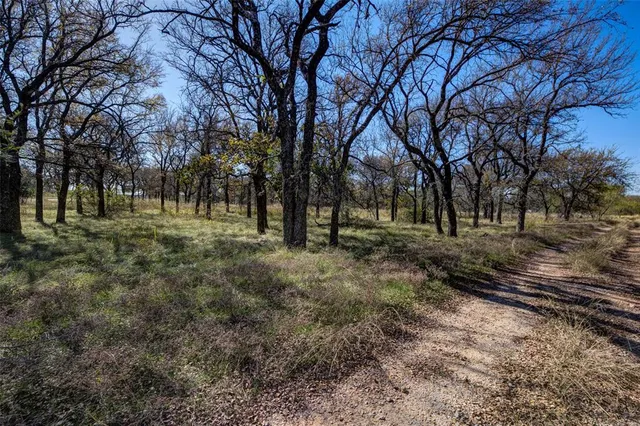 a view of dirt yard with green space