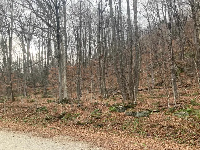 $120,000 | 0 Ledge End Road, Unit R4, Killington, VT 05751