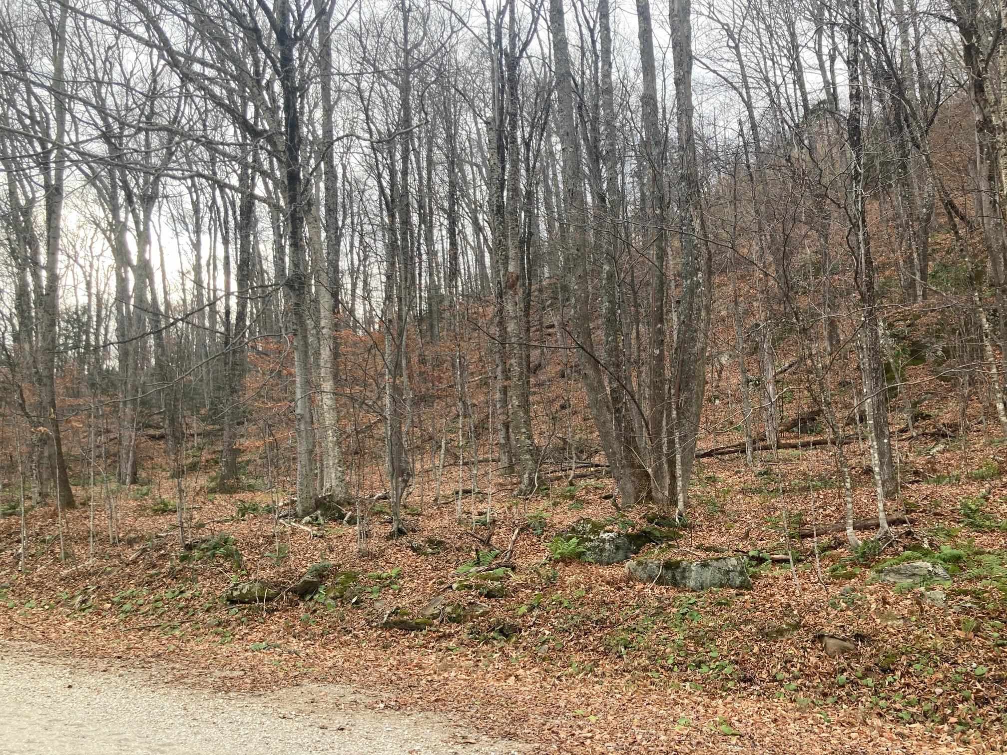 0 Ledge End Road, Unit R4 Killington, VT 05751 - Photo 1 of 7