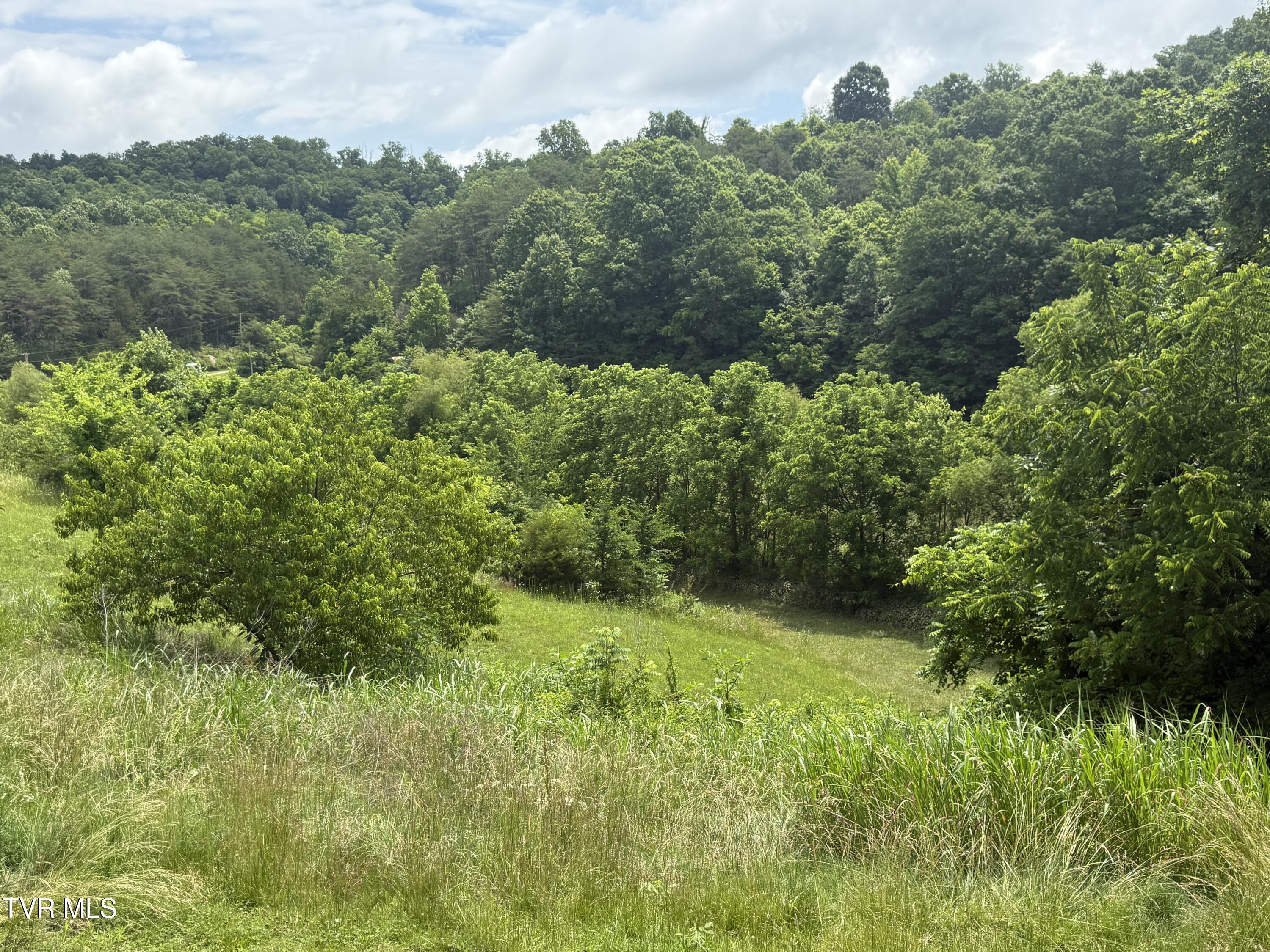 2233 Sinking Creek Road Parrottsville, TN 37843 - Photo 17 of 48 IMG_1932