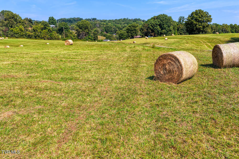 Lot 8 Magnolia Road Rogersville, TN 37857 - Photo 26 of 43 Magnolia MLSa (24 of 41)