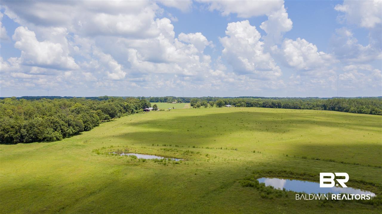 22290 Oak Tree Lane Robertsdale, AL 36567 - Photo 21 of 37