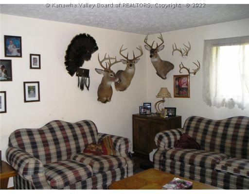 4577 Medina Road Ravenswood, WV 26164 - Photo 8 of 8 Living Room.
